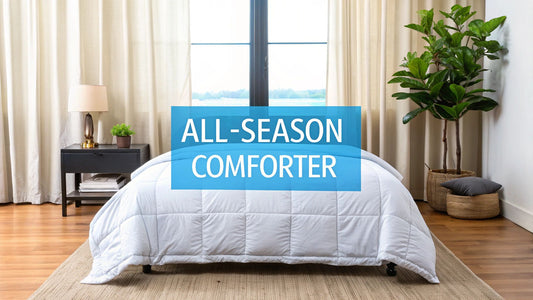 Best All Season Comforter: Stay Cozy Year-Round With One Bed Solution