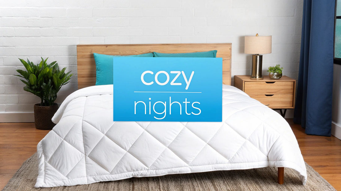 Cozy Nights With A Down Alternative Twin Comforter (Hypoallergenic)
